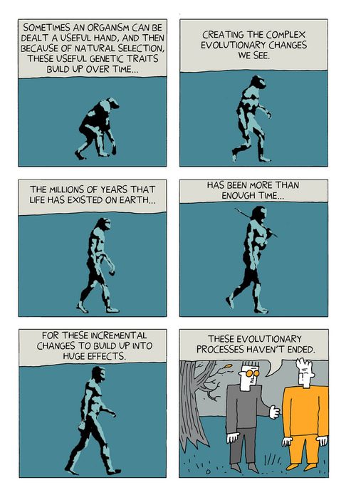 Media_httpfarm4static_abkoi